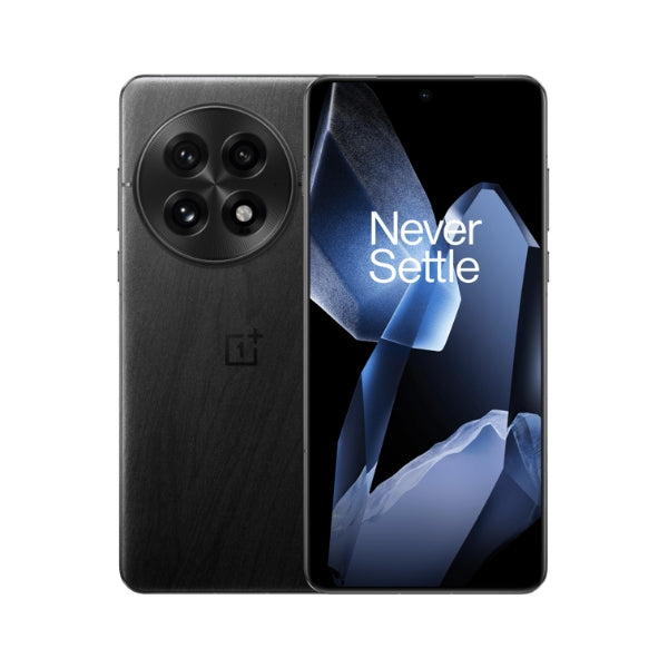 OnePlus 13 (16/512 GB)