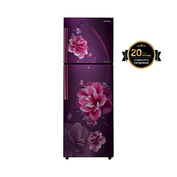 Samsung Double Door Refrigerator, 253L (RT28C3221CR)