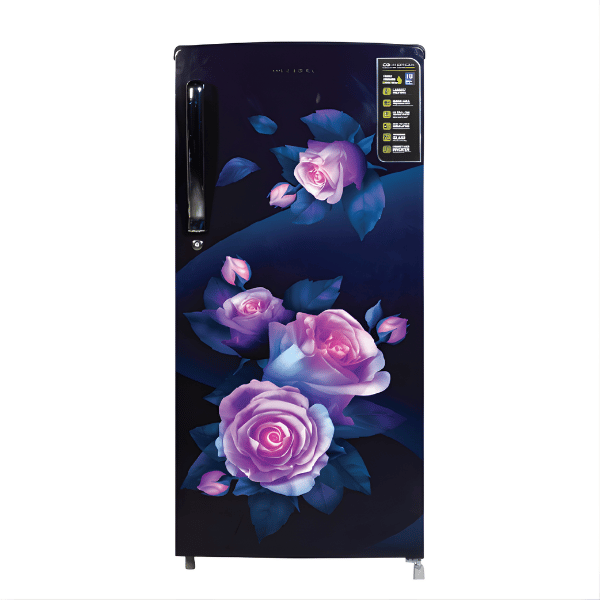 CG 205 Liter Single Door Refrigerator | CGMRS225MR