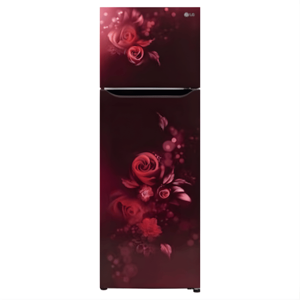 LG 287 Liter Double Door Refrigerator