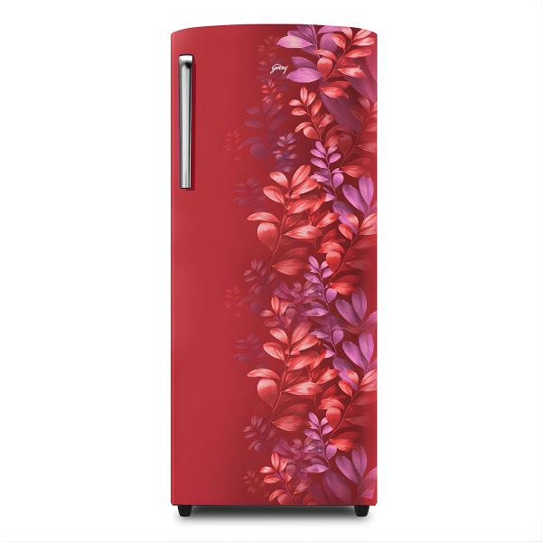 Godrej 245 Liter Single Door Refrigerator